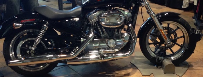 Barb S Harley Davidson Philadelphia Airport Barb S Harley Davidson Philadelphia Airport