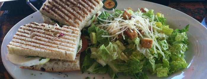 The 13 Best Mediterranean Restaurants In Mid City West Los Angeles Panini Cafe Is One Of The 13 Best Mediterranean Restaurants In Mid City West