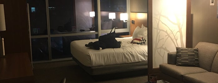 The 15 Best Hotels In Loop Chicago Hyatt Place Chicago Downtown The Loop Is One Of 15 Best Hotels In