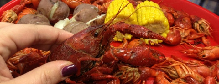 What are the best places to buy live crawfish?