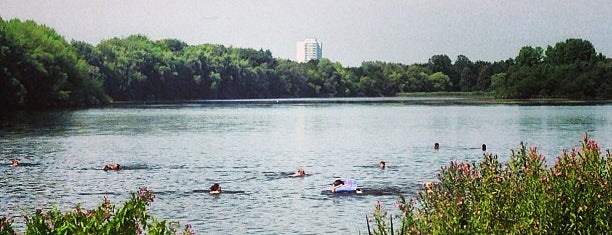 seitensprung duisburg tulln an der donau seitensprung duisburg tulln an der donau