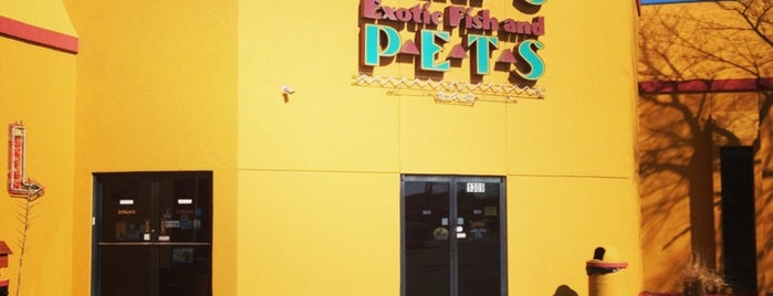 evansville in businesses evansville in businesses