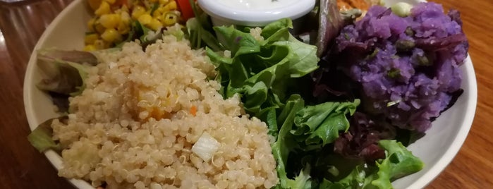 Vegan Thai Food San Jose Vegan Thai Food San Jose