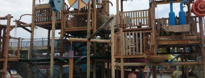 Daytona lagoon discount coupons
