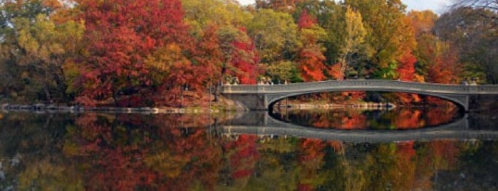 The Best Of Nyc Park User Tips