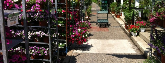 14th street garden center 46 reviews of 14th Street Garden Center