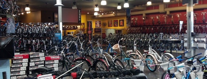 Bike Shops in Denver