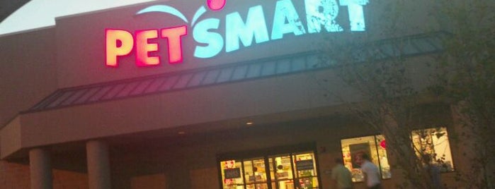 The 15 Best Places for Pets in Jacksonville