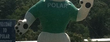 worcester polar bear sign