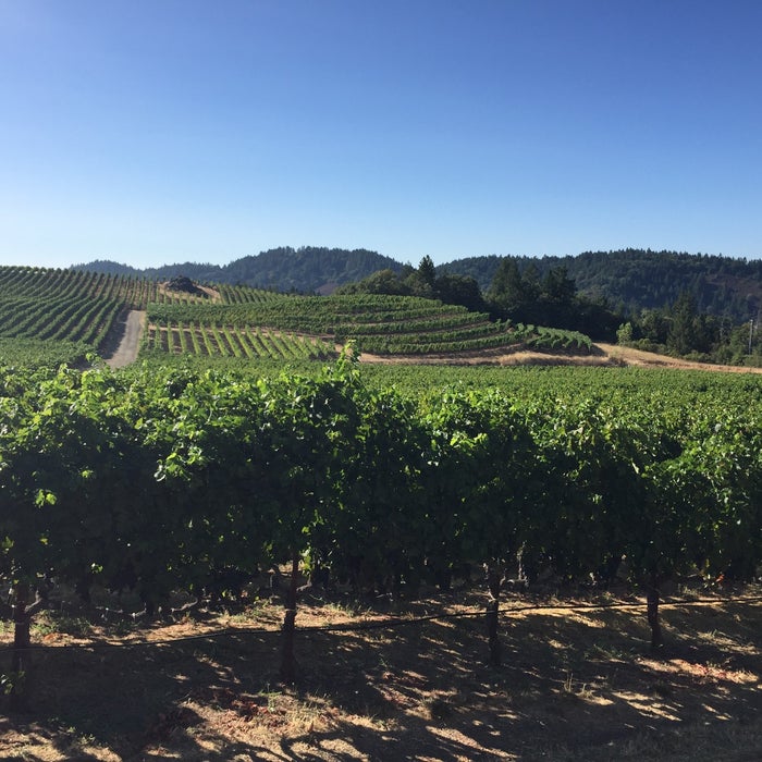 Pride Mountain Vineyards reviews, photos - St. Helena - Napa & Sonoma ...