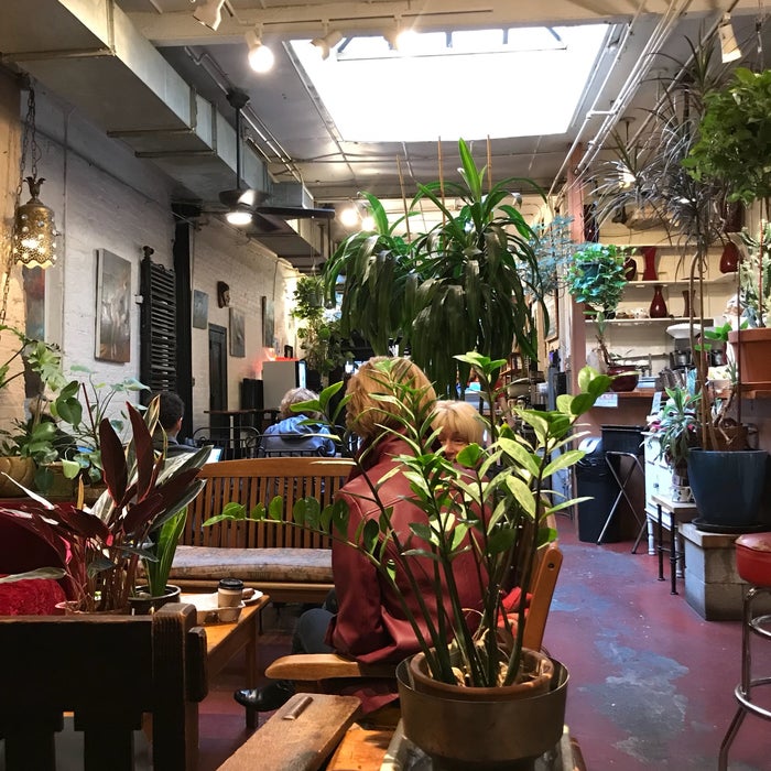 Grounded Organic Coffee & Tea House reviews, photos CLOSED West