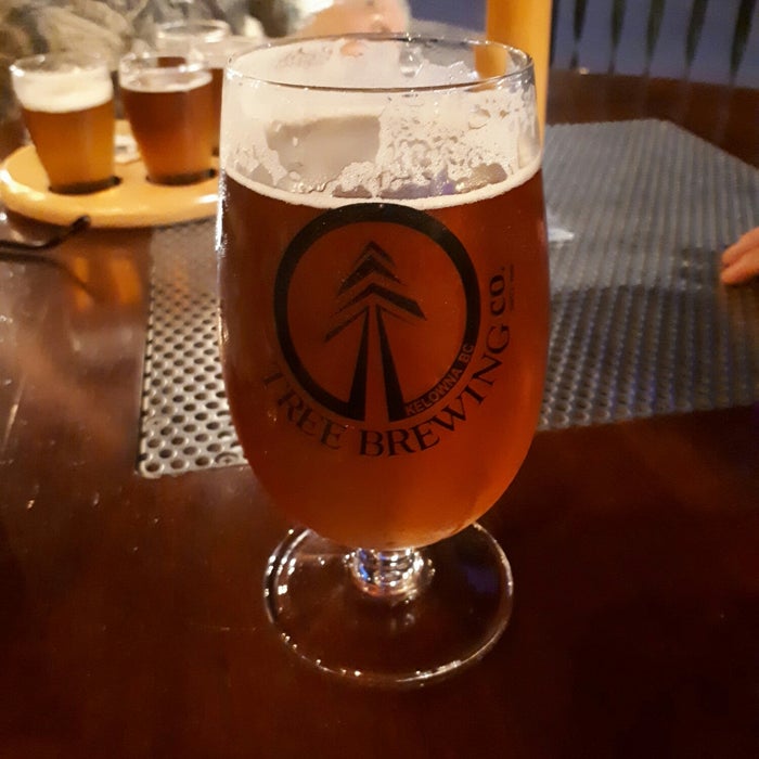 Tree Brewing Beer Institute reviews, photos Cultural District Kelowna