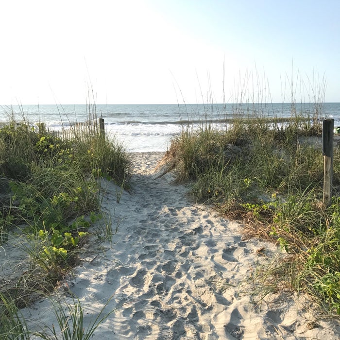 82nd Avenue Beach Reviews, Photos - Grand Strand - Myrtle Beach 