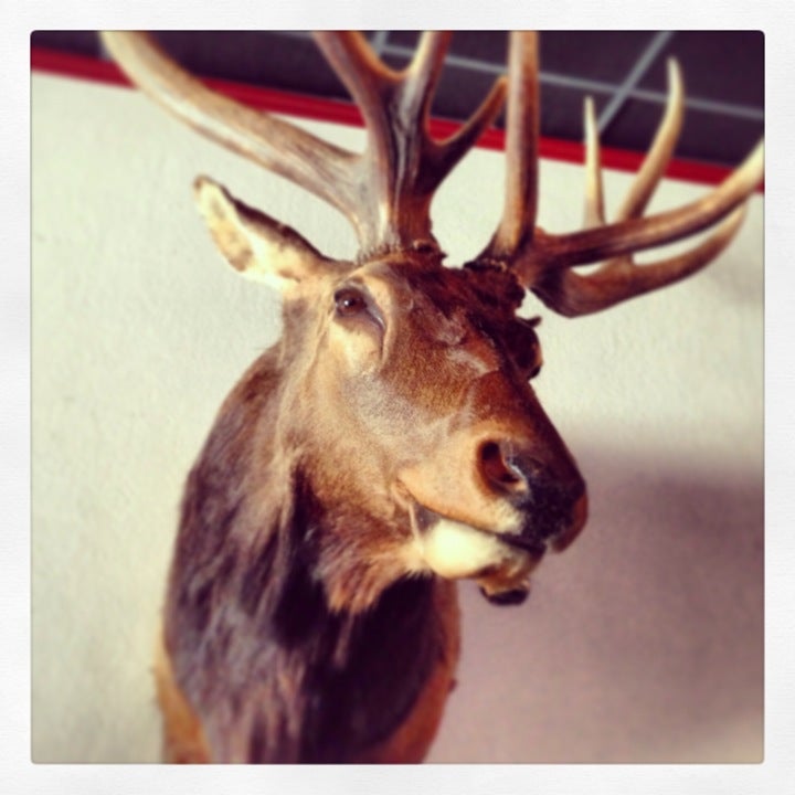 MEAT Eatery & Tap Room at Plaza 88 (Overseas Hwy MM 88) Islamorada, FL