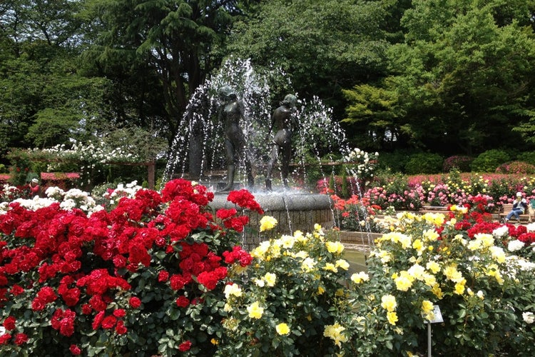 里見公園 東京都 こころから