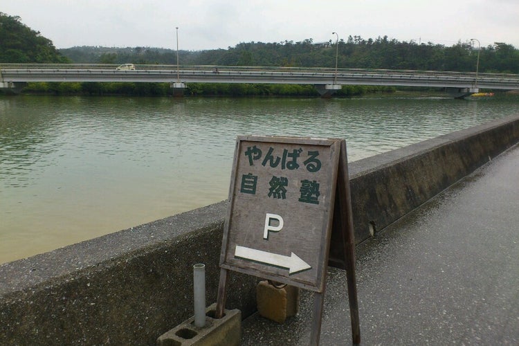 やんばる自然塾 沖縄県 こころから