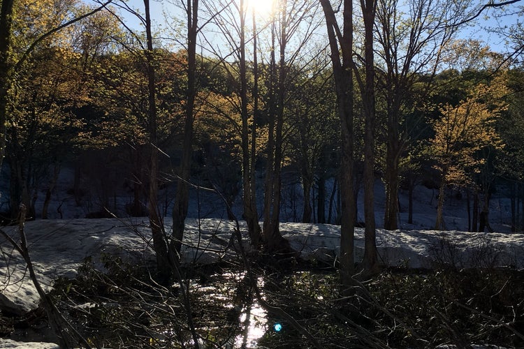 山形県立自然博物園 山形県 こころから