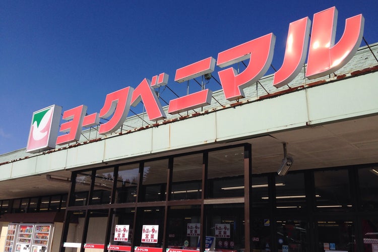 【翌日発送】ヨビニオンマルル ヨビニオン・マルル　4枚 ヨークベニマル 小野町店（福島県）｜こころから