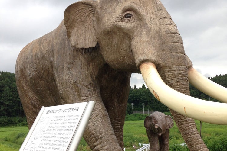 野尻湖ナウマンゾウ博物館 長野県 こころから