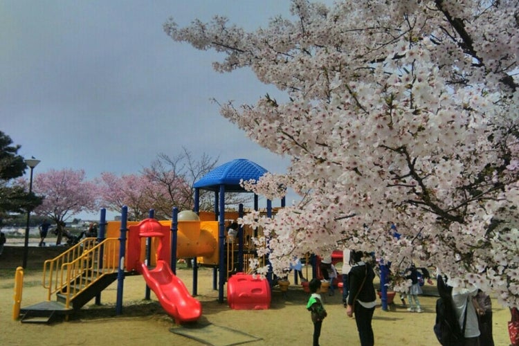 大阪狭山市 さやか公園 大阪府 こころから