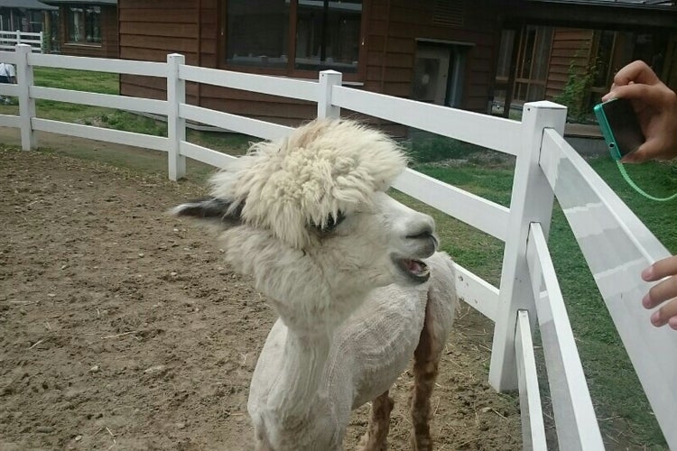 新潟市動物ふれあいセンター いくとぴあ食花 新潟県 こころから