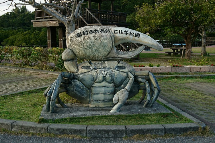 東村ふれあいヒルギ公園 沖縄県 こころから