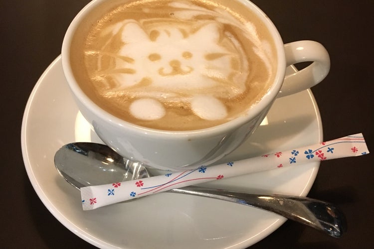 Light Cafe 栄店 愛知県 こころから