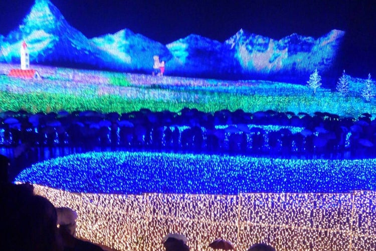 なばなの里 花市場 三重県 こころから
