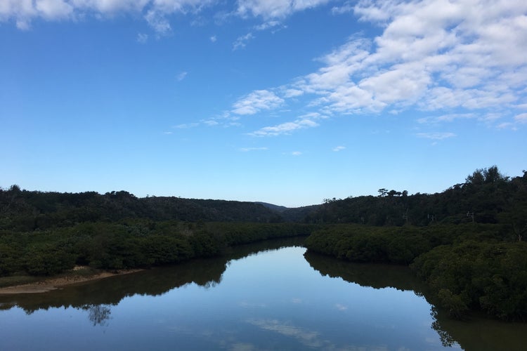 東村ふれあいヒルギ公園 沖縄県 こころから