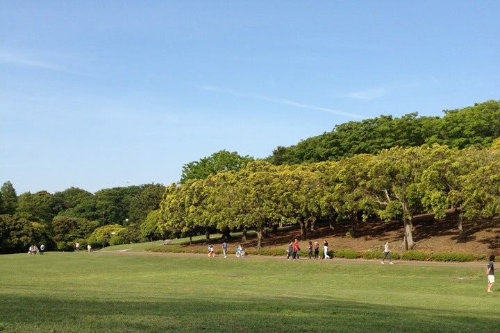 根岸森林公園 神奈川県 こころから