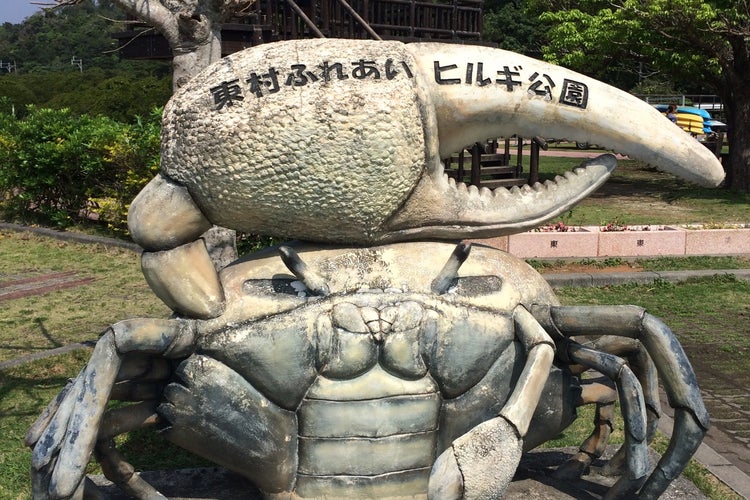 東村ふれあいヒルギ公園 沖縄県 こころから