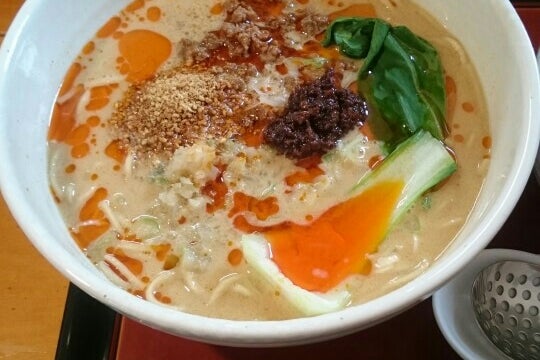 担々麺 發巳 はつみ 栃木県 こころから