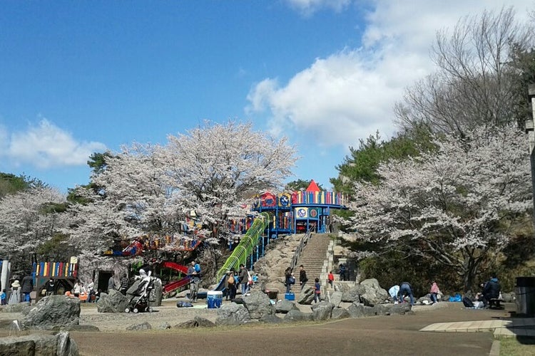 八幡山公園 栃木県 こころから
