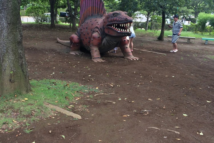 坂東市八坂総合運動公園 茨城県 こころから