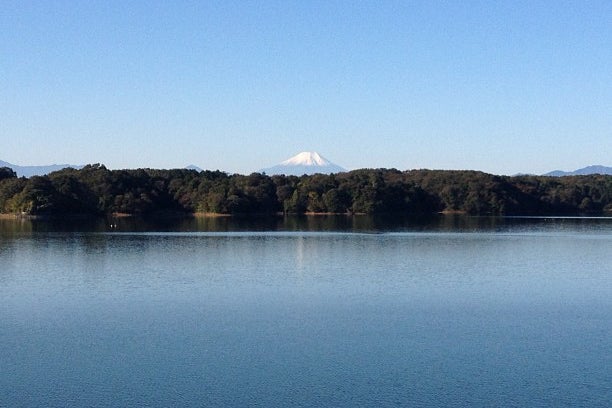 村山貯水池 多摩湖 埼玉県 こころから