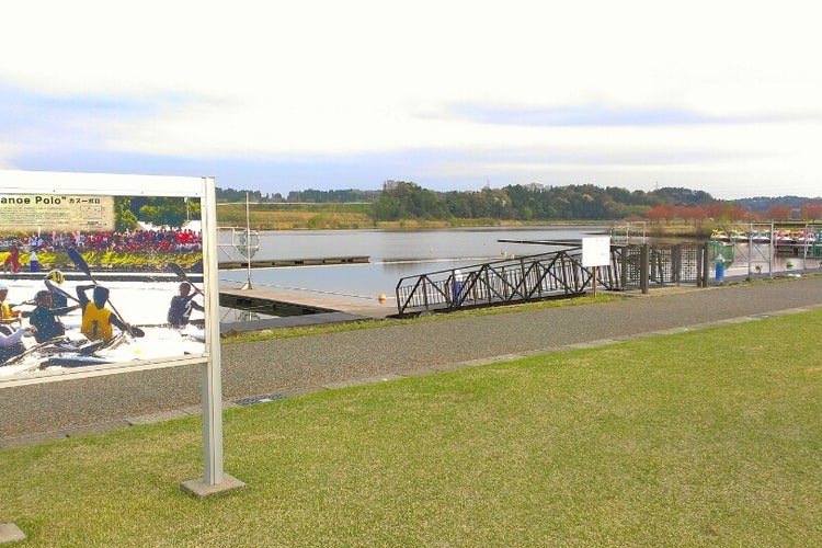 北潟湖畔公園 福井県 こころから