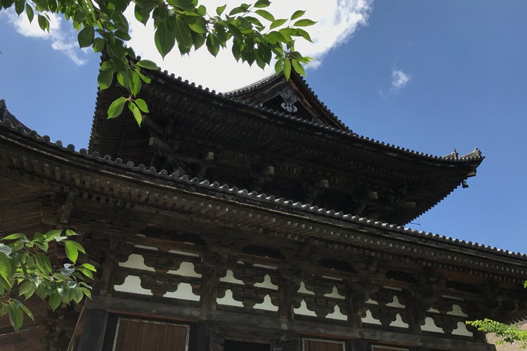 東寺 金堂 京都府 こころから