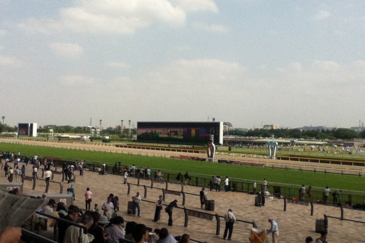 東京競馬場（東京都）｜こころから