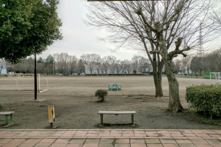 守谷市シティプロモーション 明日開幕の夏の甲子園 茨城代表 Facebook