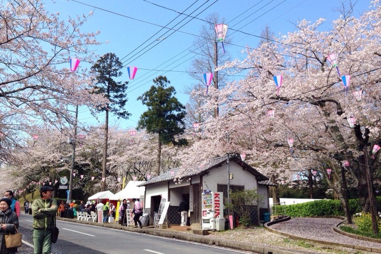 小見川城山公園 千葉県 こころから