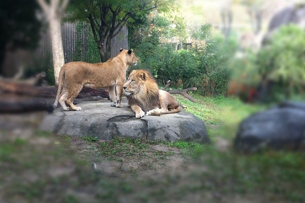 到津の森公園（福岡県）｜こころから