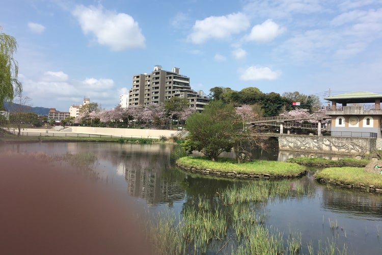 野間大池公園 福岡県 こころから