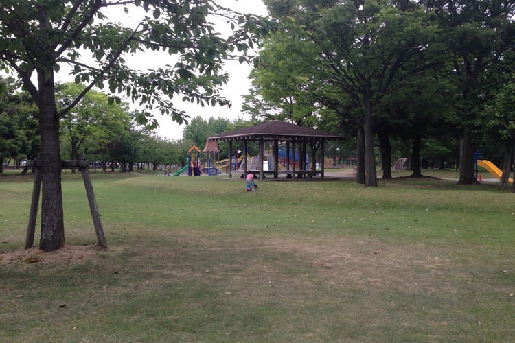 常願寺川公園 富山県 こころから