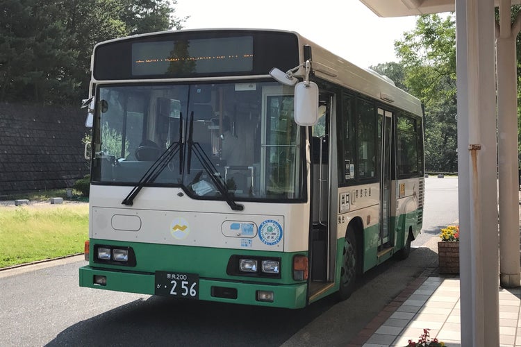 生駒 山麓 公園 バス 人気