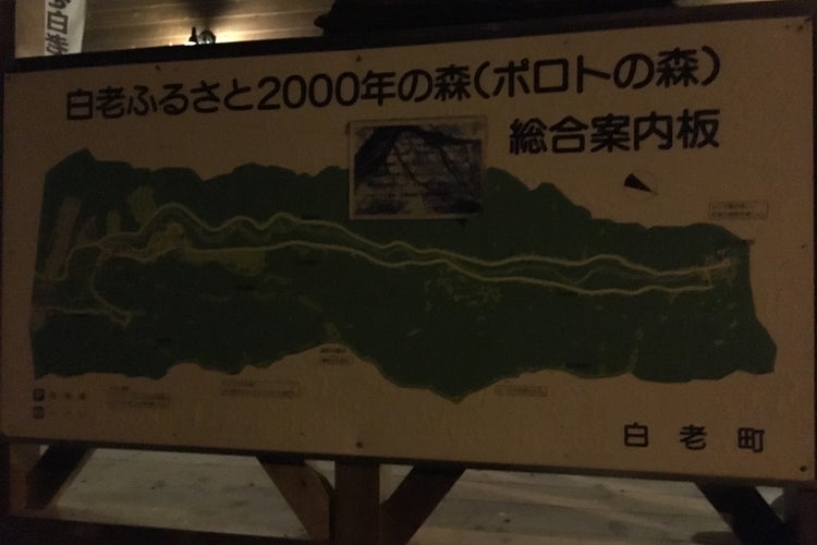 白老ふるさと00年の森 ポロトの森キャンプ場 北海道 こころから