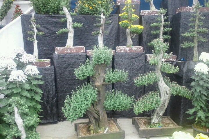 国華園 和泉本店 大阪府 こころから