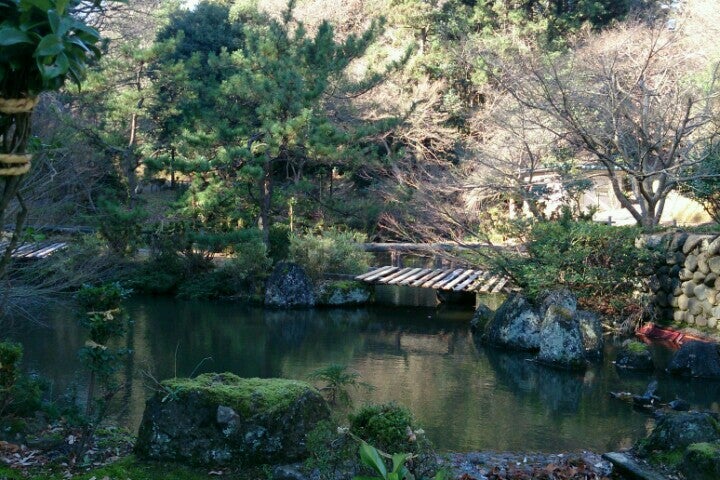 赤坂山公園 新潟県 こころから