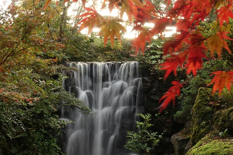 赤坂山公園 新潟県 こころから