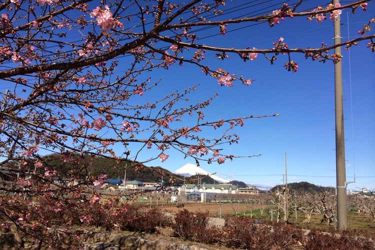 狩野川リバーサイドパーク 静岡県 こころから