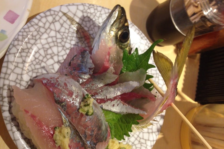 江戸前海鮮問屋 回転寿司 ふじ丸 神奈川県 こころから